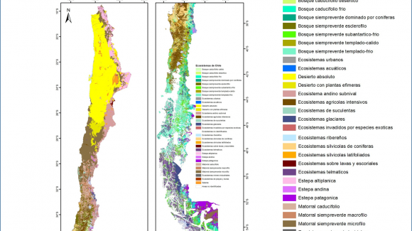 En el marco de la Convención de la Diversidad Biológica de Naciones Unidas: Nueva clasificación de ecosistemas terrestres chilenos permite medir los avances en conservación