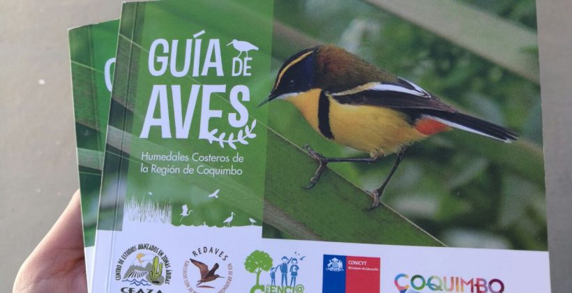 Municipalidad de Coquimbo reimprime 500 ejemplares de Guía de Aves de Humedales Costeros de la Región de Coquimbo