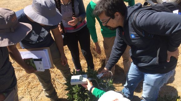 Científicos Ciudadanos aportan a la investigación desde diferentes rincones de la Región de Coquimbo