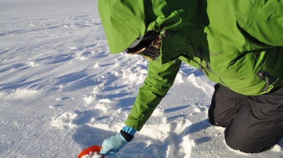 Primer diagnóstico sobre efecto de la contaminación en la nieve de la Cordillera de Los Andes