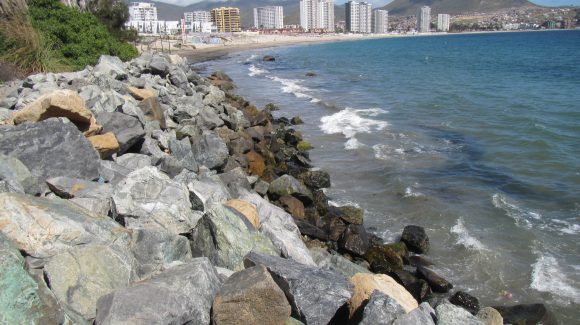 Estudio científico revela: Incremento de estructuras artificiales afectarían el ecosistema costero en Chile
