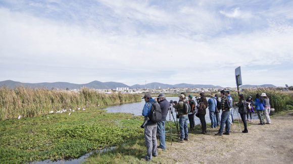 Investigador del CEAZA expone en la Comisión de Recursos Hídricos y Desertificación de la Cámara de Diputados