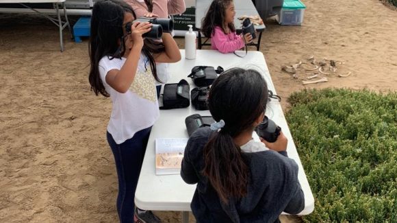 En el Día Internacional de los Humedales: Entregan kit de observación de aves de uso gratuito para la comunidad