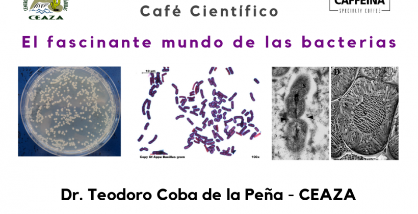 En café científico:  Relevarán los beneficios de las bacterias para la vida del planeta