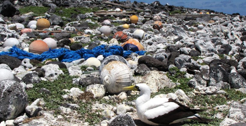 Protección de la biodiversidad en Áreas Marinas Protegidas: Proponen marcar utensilios de pesca de alta mar para rastrear su origen como basura