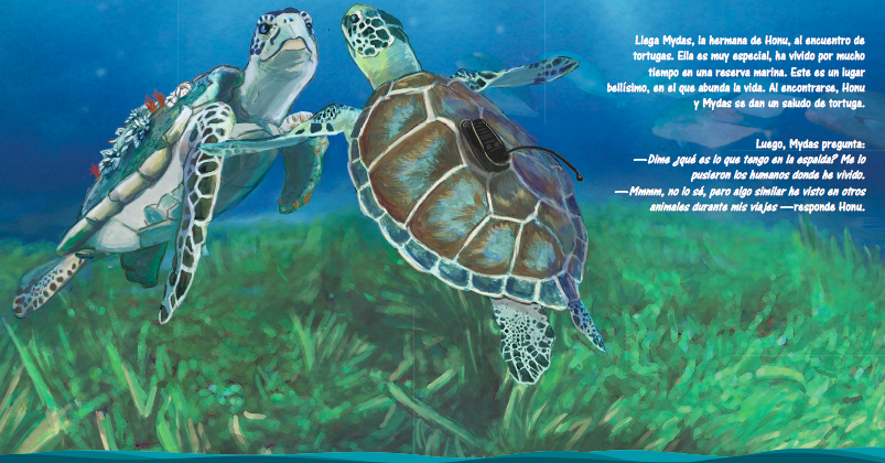 En Día Internacional de las Tortugas invitan a escuchar audio-libro infantil