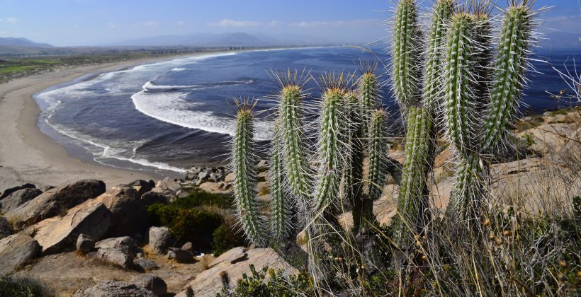 En la Región de Coquimbo: Fenómeno de La Niña provocaría temperaturas más bajas durante la primavera y verano