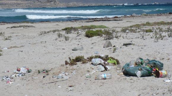 Plantean necesidad de cambios sociales para combatir contaminación por plásticos