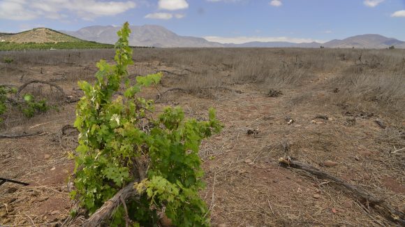 Bajas precipitaciones en la región podrían continuar hasta el 2022