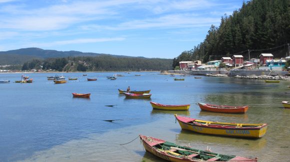 Invitan a conocer resultados de proyecto que buscó aportar a la adaptación al cambio climático del sector pesquero-acuícola chileno