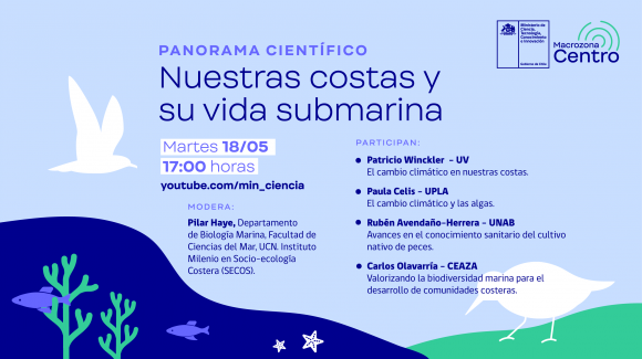 Con participación CEAZA: Evento “Panorama Científico” del Mes del Mar se concentra en nuestras costas y la vida submarina