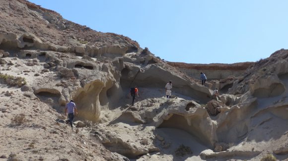 Científicos analizan fósil de tiburón sierra que habría habitado en las costas de Chile