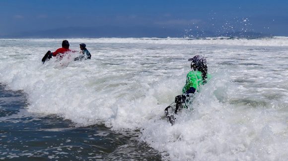 Según estudio de Área de Manejo y Explotación de Recursos Bentónicos: Características de “bahía Coquimbo” y participación femenina en gobernanza aportarían a la persistencia de pesquería de macha en Caleta San Pedro, La Serena