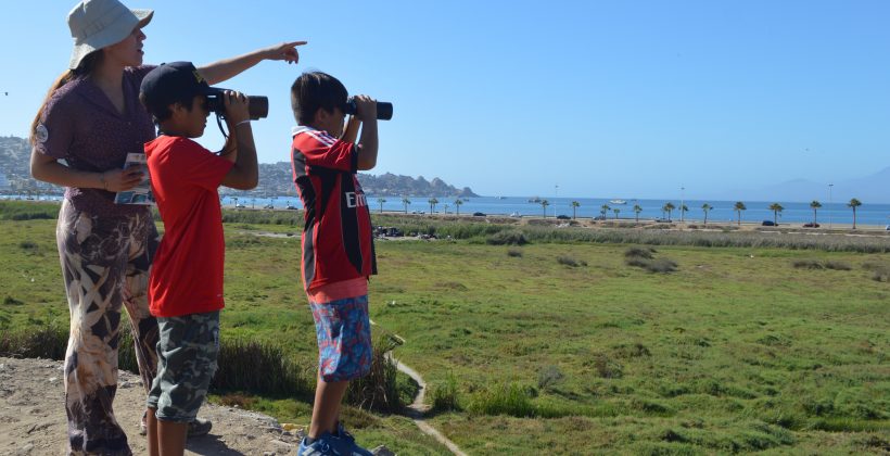 Ciencia para niños: Nuevo cuento infantil promete crear conciencia sobre el rol de los humedales de la Región de Coquimbo