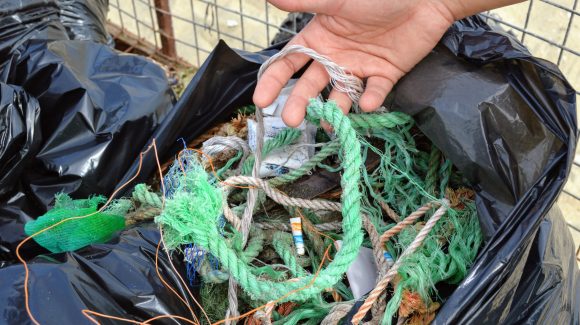 Empresas ostioneras de Tongoy recolectaron 2 toneladas de basura tras una jornada de limpieza de playas