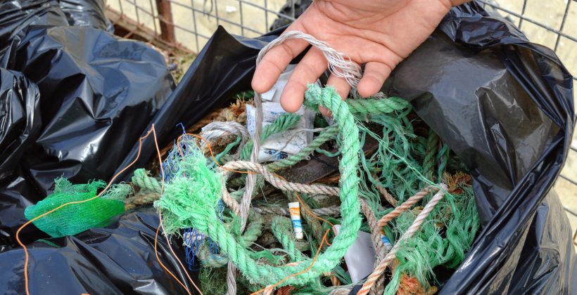 Empresas ostioneras de Tongoy recolectaron 2 toneladas de basura tras una jornada de limpieza de playas
