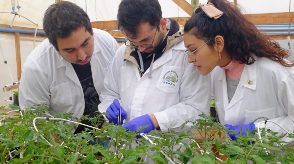 Proponen soluciones basadas en la ciencia para contribuir a una agricultura sustentable