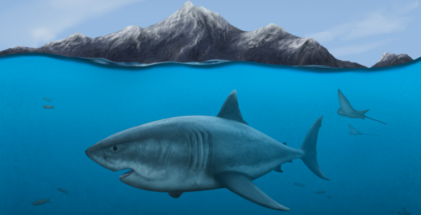 Investigación analizó los efectos de cambios climáticos del pasado en tiburones, rayas y otras especies de Europa