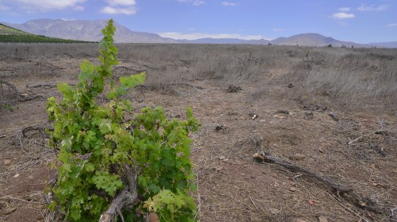 Boletín Climático CEAZA: Escasas precipitaciones en abril, se mantienen los bajos niveles del agua en la Región de Coquimbo