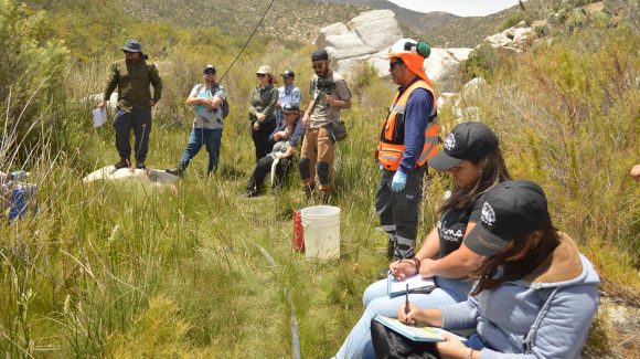 Centro Científico CEAZA y comunidad desarrollaron monitoreo de agua y suelo en el Choapa