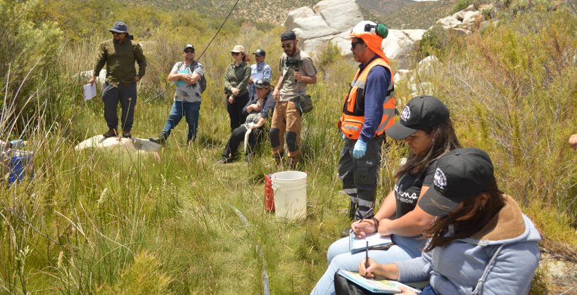 Centro Científico CEAZA y comunidad desarrollaron monitoreo de agua y suelo en el Choapa