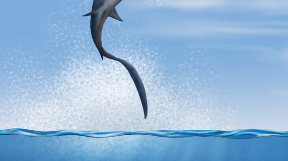 Investigación devela que dos especies de tiburones ya habitaban el norte de Chile hace millones de años atrás