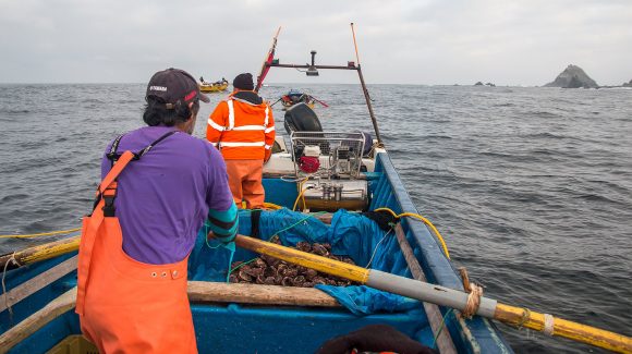 CEAZA y municipios de la Región de Coquimbo unen esfuerzos para monitorear la actividad pesquera en medio del cambio climático