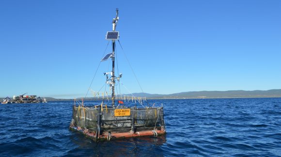 Estación de monitoreo une a la ciencia e industria ostionera en Tongoy