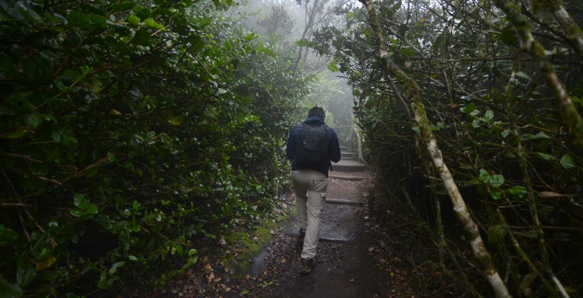 Simposio Internacional en La Serena: Investigadores nacionales e internacionales conmemoran los 35 años de estudios en el Parque Nacional Bosque Fray Jorge