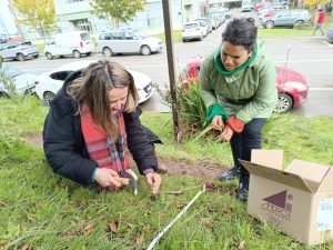 CEAZA participa del Taller de Enseñanza de la Ecología en el Patio de la Escuela en la Universidad de Concepción