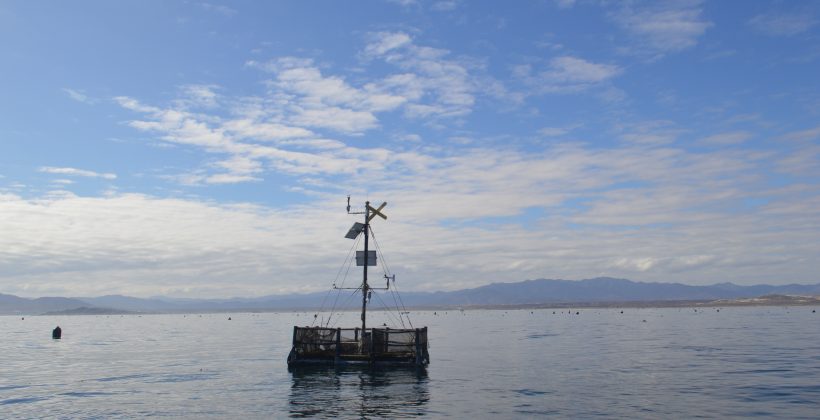 Se esperan condiciones La Niña de leve intensidad durante este trimestre en la Región de Coquimbo