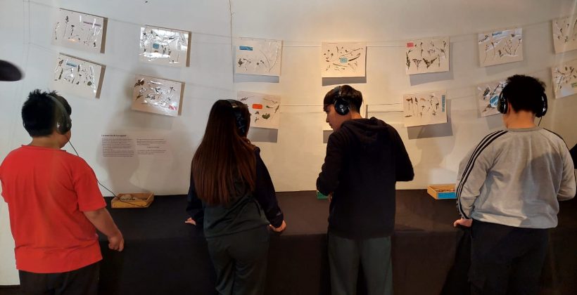 Exposición científico-artística realizada por estudiantes de la Escuela Ríos de Elqui se inauguró en la Casa de la Cultura de Vicuña