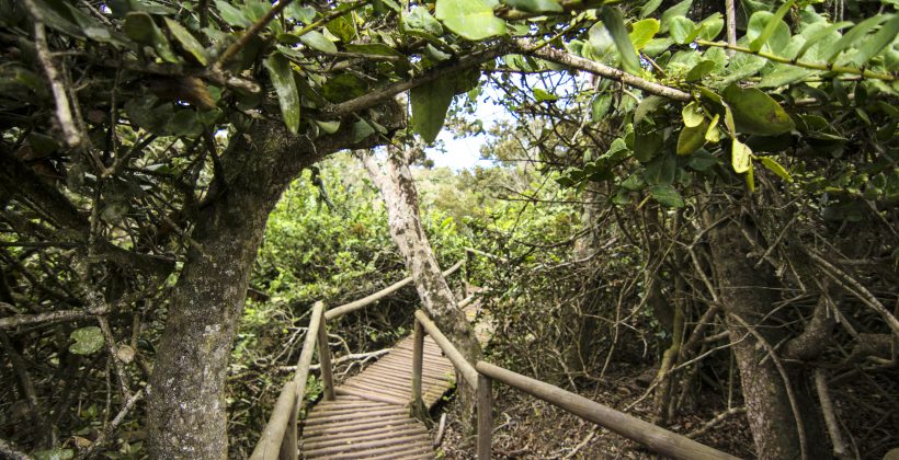 Reserva de Biosfera Fray Jorge aprobó Plan de Gestión 2025 – 2034