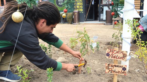 Emprendedores turísticos de Elqui, Limarí y Choapa incorporan la ciencia a sus negocios