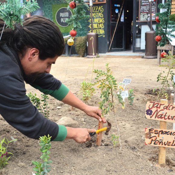 Emprendedores turísticos de Elqui, Limarí y Choapa incorporan la ciencia a sus negocios