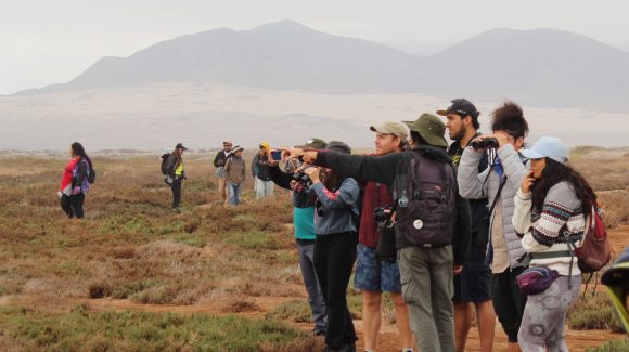 Panorama: Explora los humedales costeros de la Región de Coquimbo con estas actividades de verano