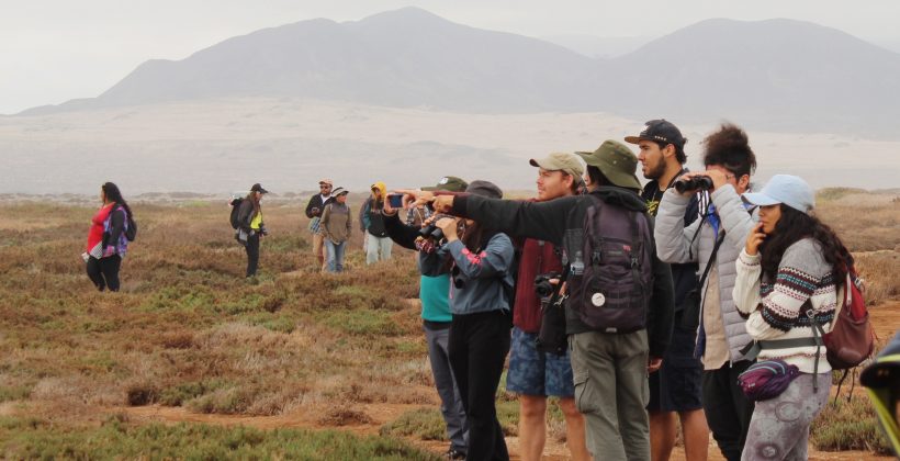 Panorama: Explora los humedales costeros de la Región de Coquimbo con estas actividades de verano