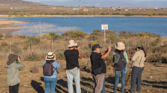 Información científica sobre red de humedales costeros de la Región de Coquimbo ya está disponible para la comunidad