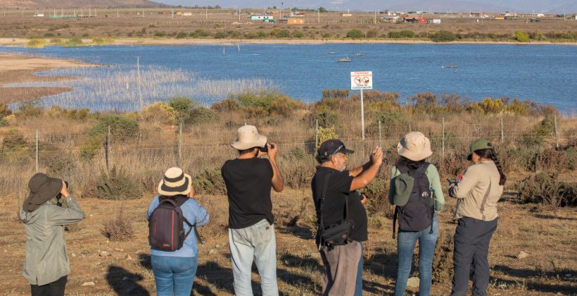 Información científica sobre red de humedales costeros de la Región de Coquimbo ya está disponible para la comunidad Información científica sobre red de humedales costeros de la Región de Coquimbo ya está disponible para la comunidad