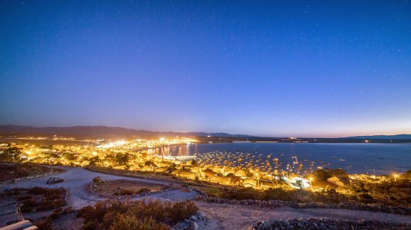 Estudio revela daños visuales en crustáceos de playas por exposición a luz artificial nocturna