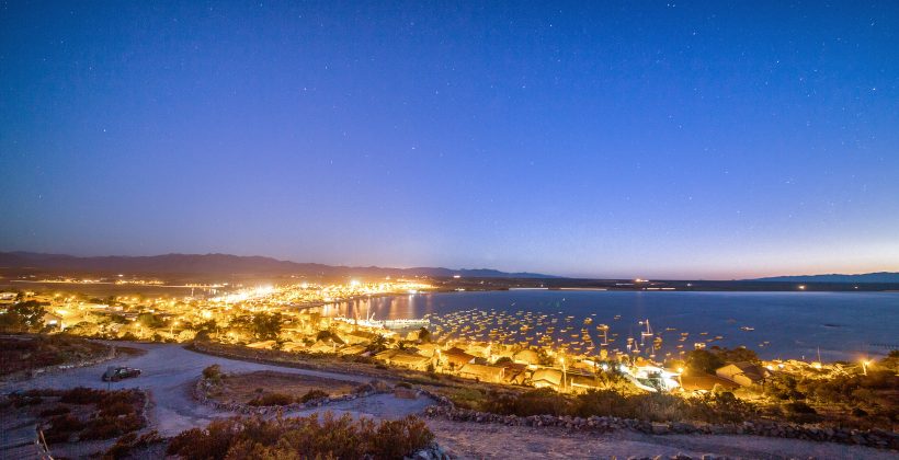 Estudio revela daños visuales en crustáceos de playas por exposición a luz artificial nocturna Estudio revela daños visuales en crustáceos de playas por exposición a luz artificial nocturna