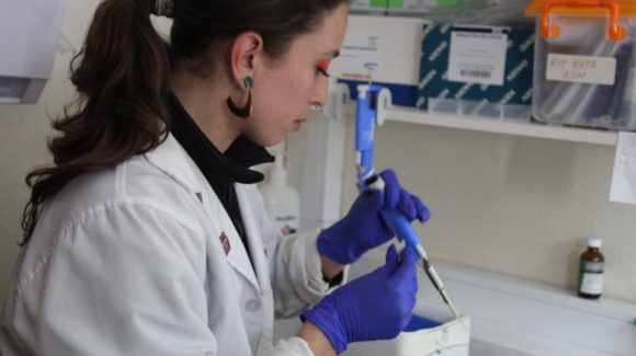 Consejo Científico Asesor de MinCiencia impulsa proceso participativo de diálogo sobre Fondecyt