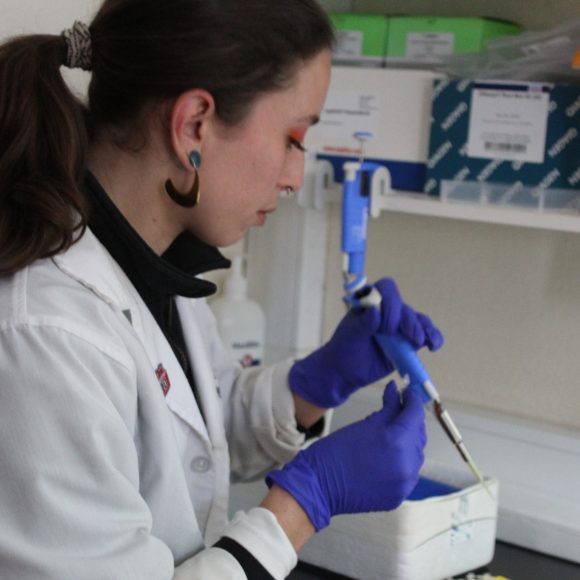 Consejo Científico Asesor de MinCiencia impulsa proceso participativo de diálogo sobre Fondecyt