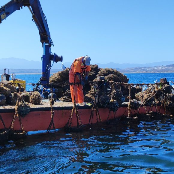 Científicos del CEAZA junto a la comunidad de Tongoy analizan la forma en que eventos climáticos han afectado la pesca y acuicultura local