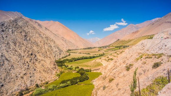 Un humedal que depura agua y educa: La innovadora propuesta que nace en pisquera del valle de Elqui Un humedal que depura agua y educa: La innovadora propuesta que nace en pisquera del valle de Elqui