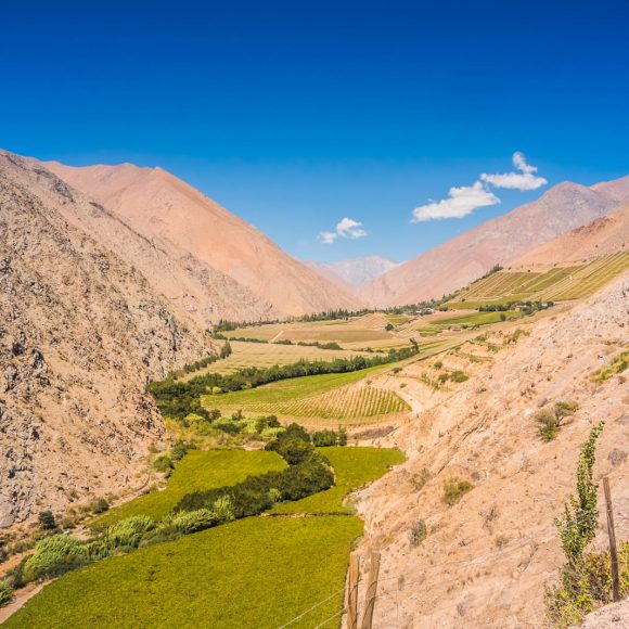 Un humedal que depura agua y educa: La innovadora propuesta que nace en pisquera del valle de Elqui