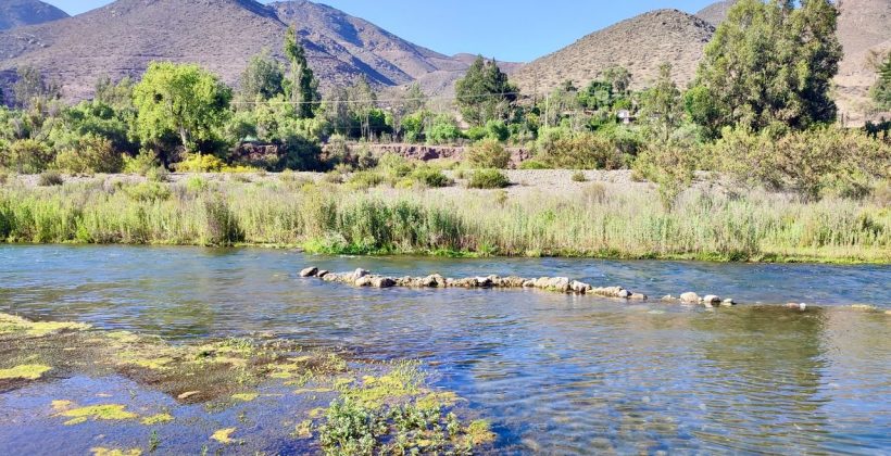 Investigan cómo el cambio climático reduce la diversidad microbiana en la cuenca del río Elqui Investigan cómo el cambio climático reduce la diversidad microbiana en la cuenca del río Elqui