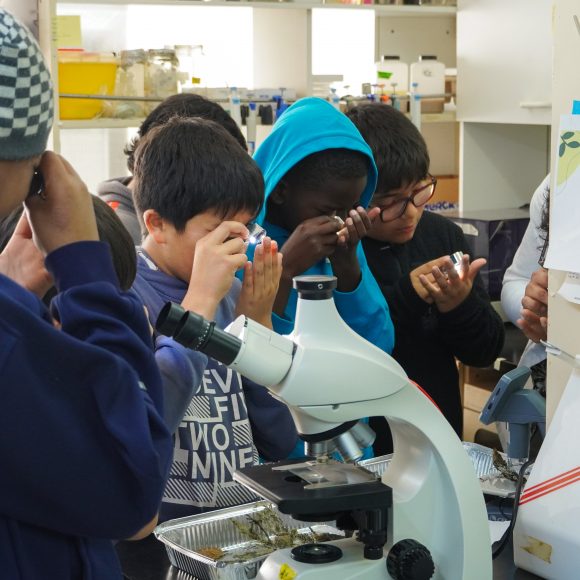 El Centro Científico CEAZA abre sus puertas a la comunidad escolar en una nueva edición de “Laboratorios Abiertos”