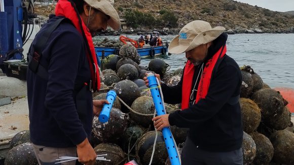Científicos latinoamericanos alertan a líderes políticos en la COP30: La acidificación oceánica amenaza la seguridad alimentaria y economías costeras de la región