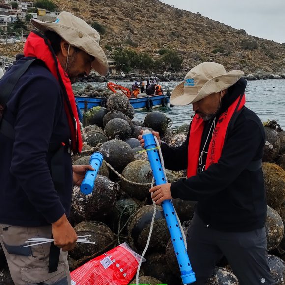 Científicos latinoamericanos alertan a líderes políticos en la COP30: La acidificación oceánica amenaza la seguridad alimentaria y economías costeras de la región